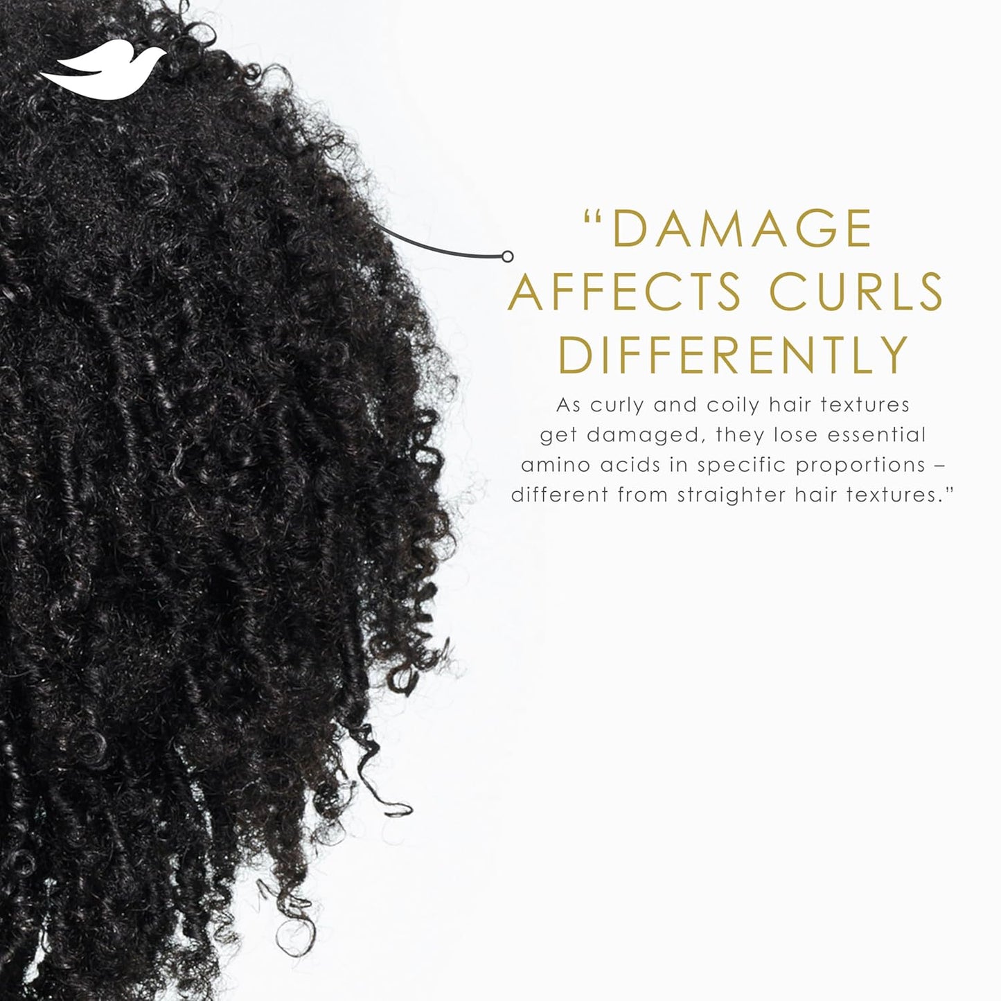 Dove Curl Cream - Amino Curl Formula for Curly & Coily Hair | Bio-Protein Care Technology, 8 Fl Oz