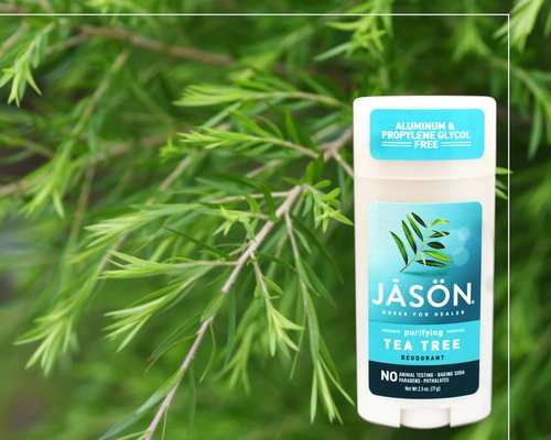 Jason Purifying Tea Tree Deodorant Stick - Natural Odor Protection | 2.5 oz
