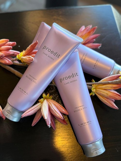 Lebel Proedit Care Works Bounce Fit+ Hair Treatment Mask - Deep Moisture & Elasticity for Dry, Damaged Hair | 8.4 oz