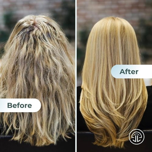 JES+LOU Hydrating Shampoo - Sulfate Free Formula for Dry, Damaged Hair | 10 oz, Vegan & Paraben Free