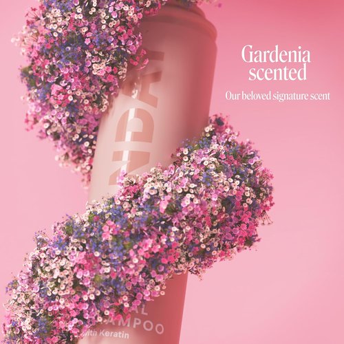 Monday Haircare Brunette Dry Shampoo - Oil-Absorbing Formula with Keratin for Dark Hair | 200 mL