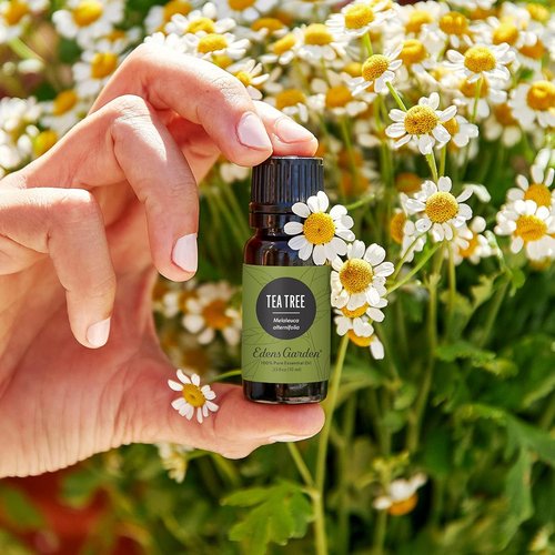 Edens Garden Tea Tree Essential Oil - 100% Pure Therapeutic Grade for Diffusers & Hair | 10 ml (.33 fl oz)