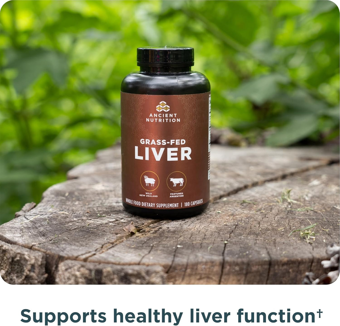 Ancient Nutrition Organ Supplements - Grass-Fed Beef & Lamb Liver Complex Capsules | 180 Ct for Healthy Blood & Gut Support