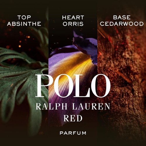 Ralph Lauren Fragrances - Polo Red Men's Cologne - Intense Ambery & Woody Parfum with Absinthe, Cedarwood & Musk