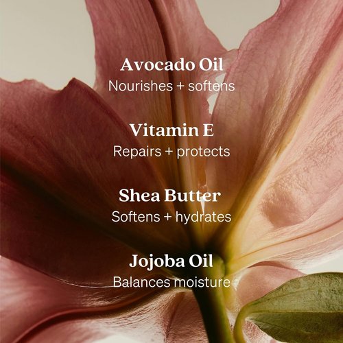 Loved01 Hand & Body Lotion, John Legend Skincare, Fragrance-Free, Daily Lightweight Cream, Oprah's Favorite Things, Formulated with Shea Butter & Vitamin E, 15 oz