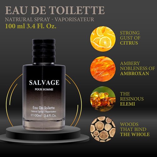 Salvage for Men Eau De Toilette Spray - Refreshing & Warm Masculine Scent | 3.4 Oz Daily Cologne