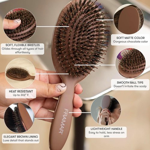 FRAMAR Soft Boar Bristle Hair Brush for Women - Enhances Volume & Shine | Chocolate Color