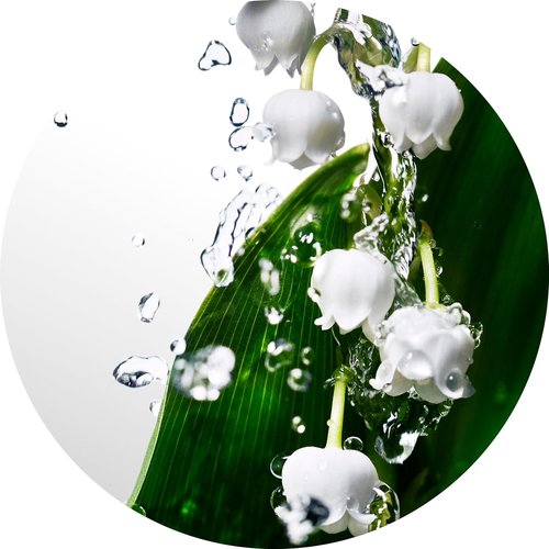 Davidoff Cool Water Eau de Toilette | Fresh Floral Women's Perfume with Watermelon & Lily Notes - Long Lasting Fragrance