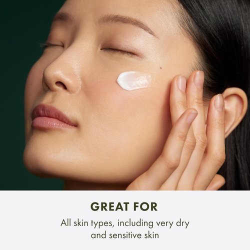 Origins Mega-Mushroom Overnight Recovery Cream - Deep Hydration & Redness Reduction | 1.7 Fl Oz