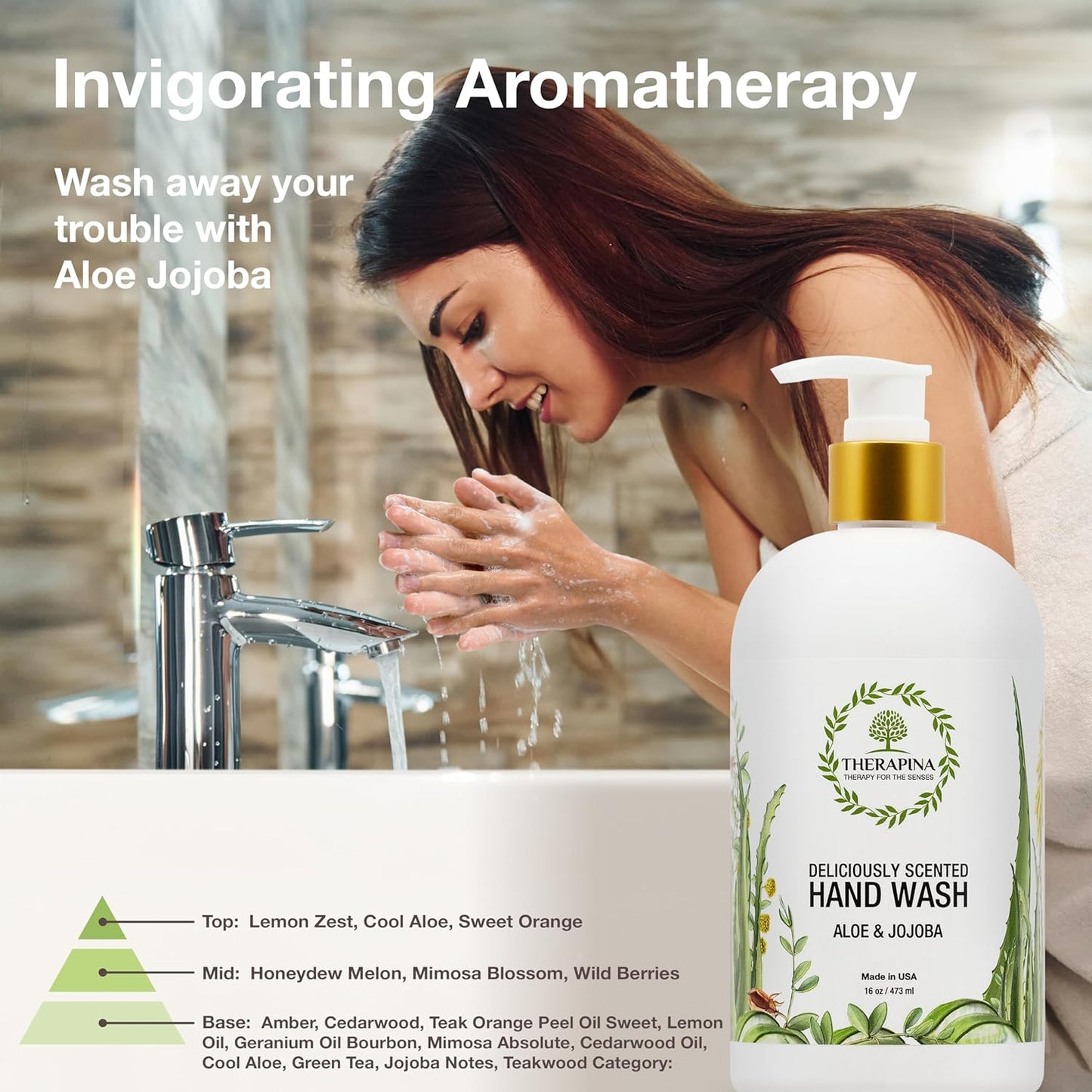 Skiennix Aromatherapy Luxury Liquid Hand Soap - Vegan & Moisturizing with Aloe Vera & Botanical Oils | 16 Oz.
