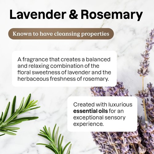 ATTITUDE Dish Soap - Plant-Based, EWG Verified, Lavender & Rosemary Scent | 16.5 Fl Oz Vegan Liquid