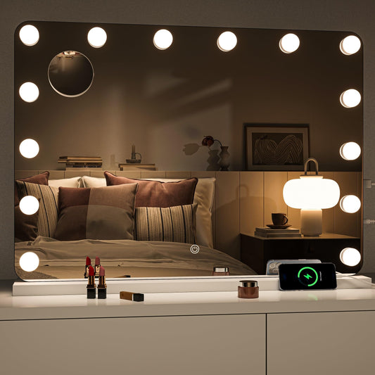 Hasipu 28"x20" Vanity Mirror with Lights, Makeup Mirror with Lights and Magnification, Hollywood Mirror with 3 Color Modes, LED Make up Mirror, Light up Mirror with USB & Type-C Charging