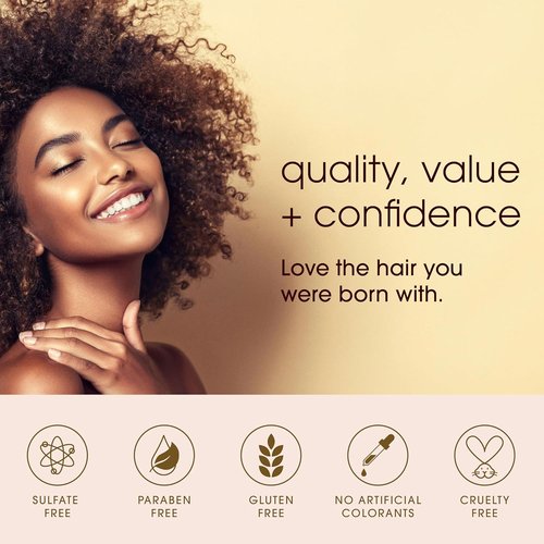 One N' Only Permanent Hair Color - Argan Oil Infused Dye for Rich Gray Coverage - 2B Blue Black (3 oz)