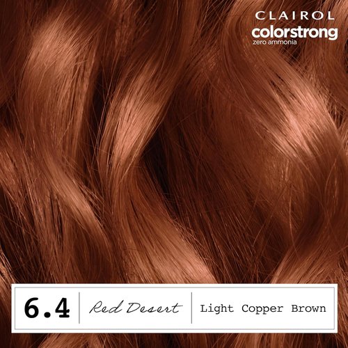 Clairol ColorStrong Permanent Hair Dye - Ammonia-Free, 100% Gray Coverage, 6.4 Light Copper Brown | Pack of 1