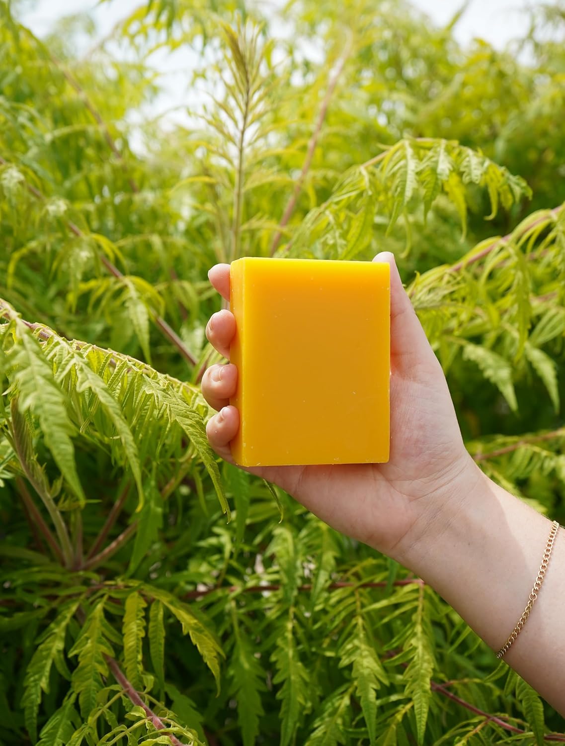 Chagrin Valley Carrot, Milk & Honey Shampoo Bar - Organic Frizz Control for Normal to Dry Hair, 5.6 oz
