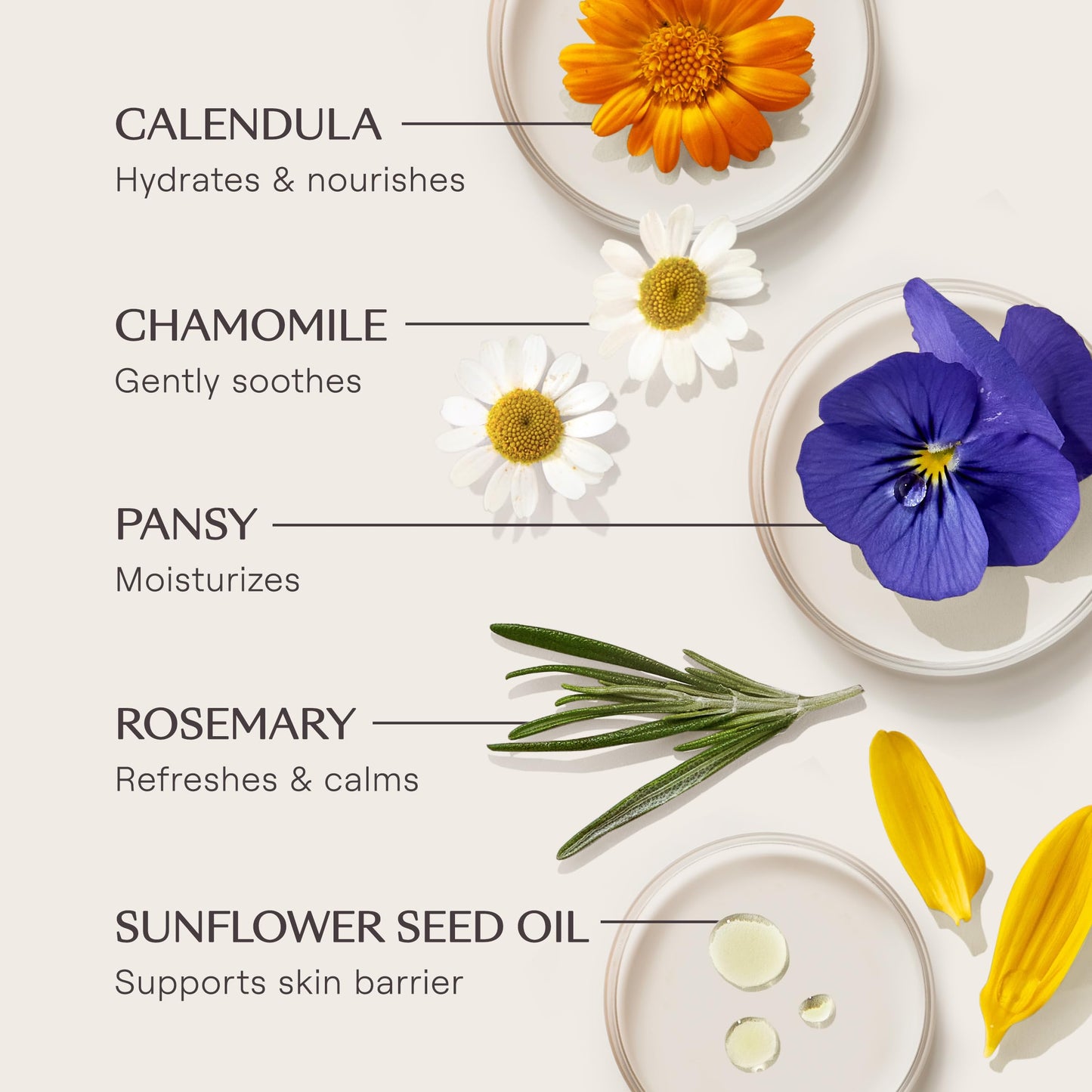 Weleda Skin Food Original 3-Pack