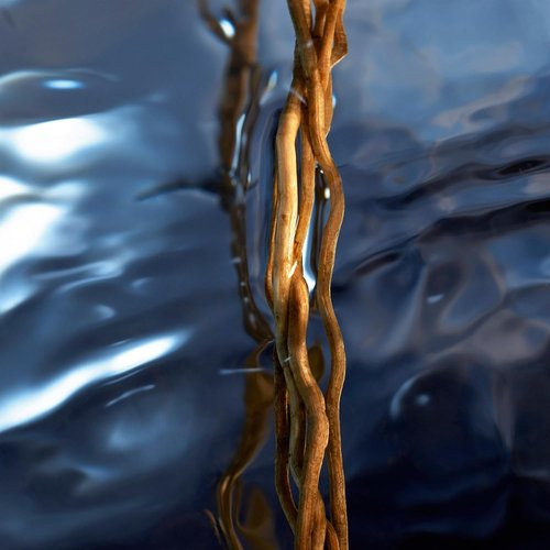 Davidoff Cool Water Reborn Eau de Toilette - Woody Men's Cologne with Rosemary, Galbanum & Vetiver - Long-Lasting Scent