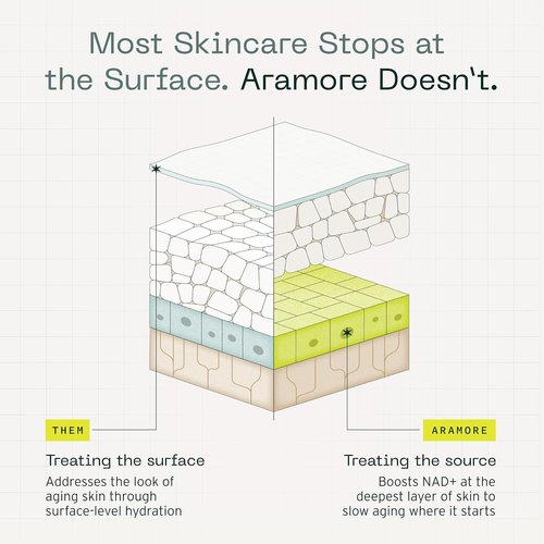 Aramore NAD+ Renewing Eye Cream - Brightens Dark Circles, De-Puffs & Hydrates - 15ml