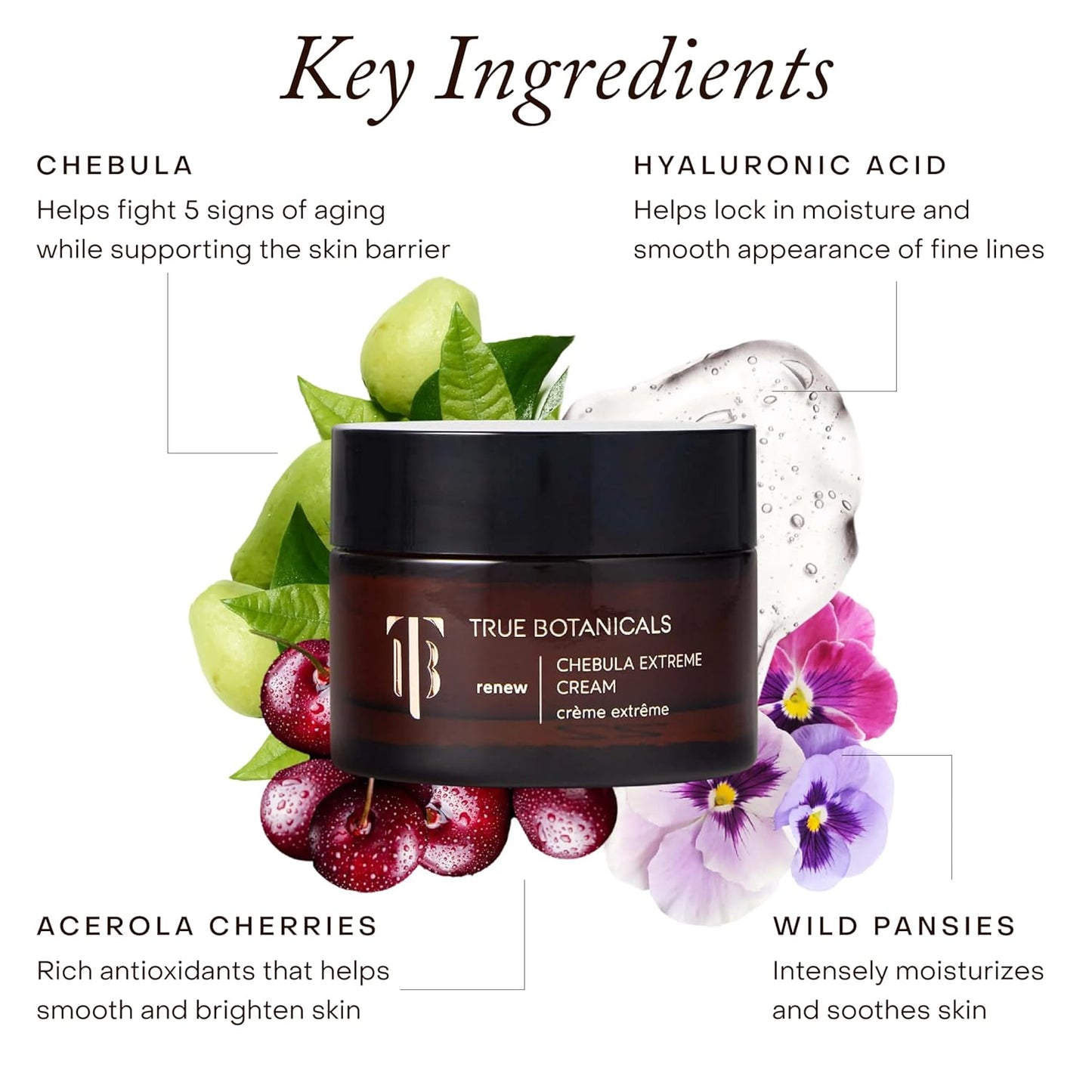True Botanicals Chebula Extreme Cream - Anti-Aging Moisturizer with Hyaluronic Acid for Fine Lines & Wrinkles | 1.7 oz | 50 ml