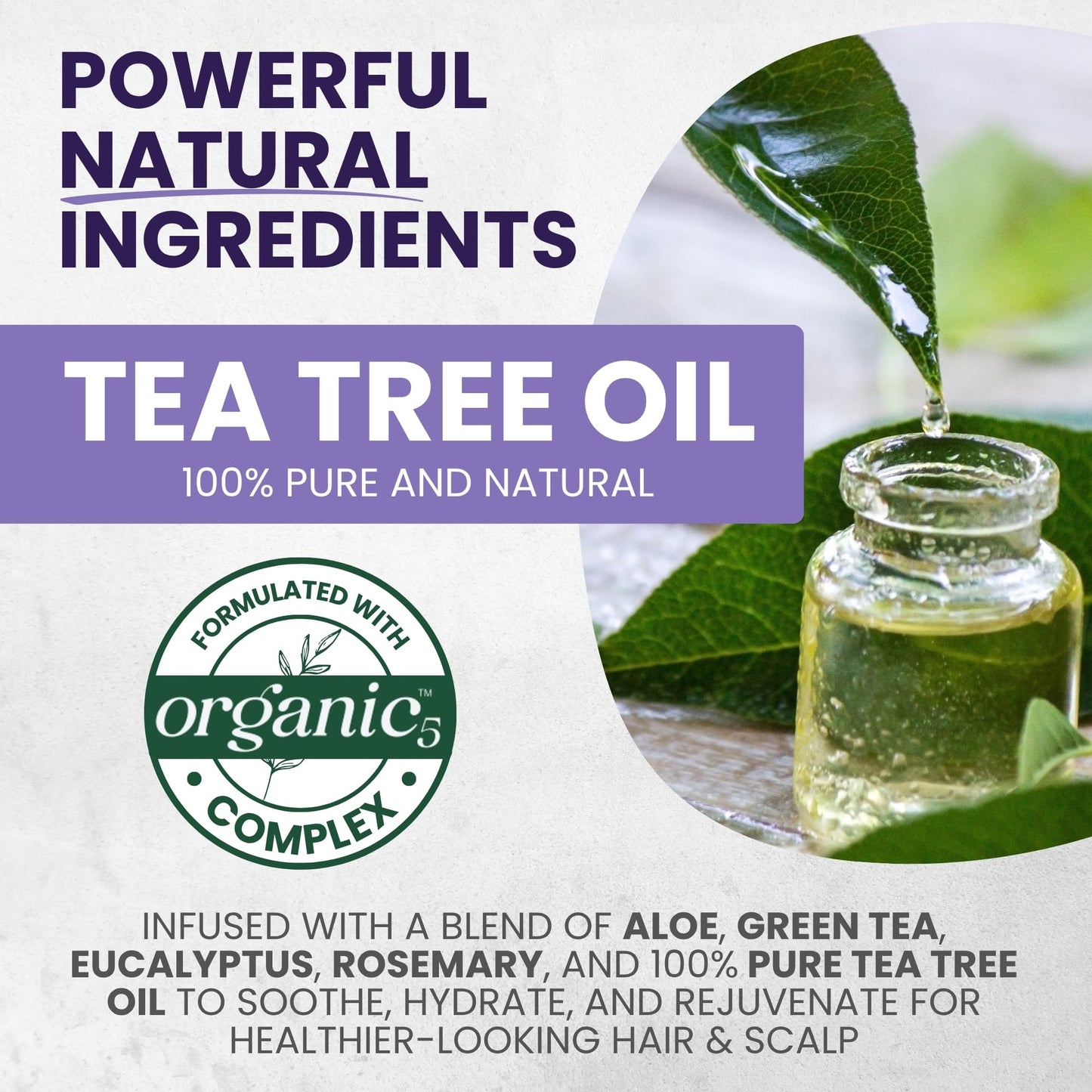 Tea Tree Purple Shampoo & Conditioner Set with Rosemary & Aloe, Professional Anti Brass Toner, Removes Yellow Tones for Gray, Bleached, White & Blonde Hair, Refreshes Scalp, Sulfate-Free