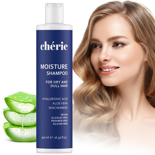 Moisturizing Shampoo with Hyaluronic Acid, Aloe Vera & Niacinamide, Hair Shampoo for Dry Hair, Non-Sulfate, Non-Paraben & Non-Silicone, For Women And Men, 16.90 oz, Champú Hidratante para Cabello Seco