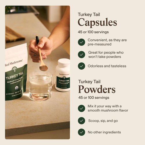 Real Mushrooms Turkey Tail Capsules - Organic Mushroom Extract for Daily Wellness | Vegan, Non-GMO, 90 Count