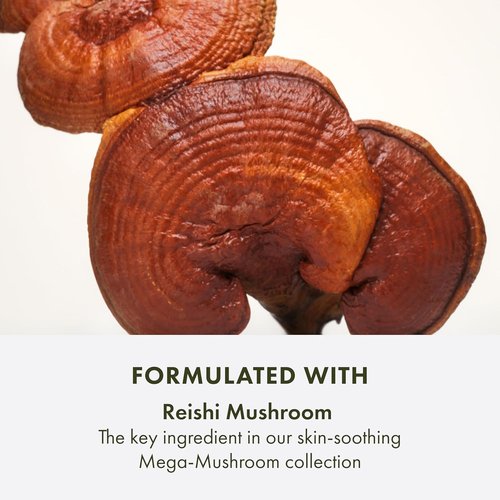 Origins Mega-Mushroom Micellar Cleanser - Gentle Formula for Sensitive Skin | Enriched with Reishi Mushroom, 6.7 Fl Oz