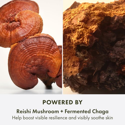 Origins Mega-Mushroom Hydra Burst Moisturizer - Reduces Redness with Niacinamide & Reishi, 1.7 Fl Oz