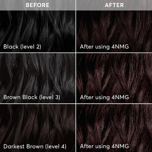 Madison Reed Radiant Hair Color Kit - 4NMG Darkest Chocolate Brown | PPD-Free & Ammonia-Free, 1 Pack
