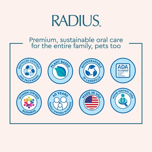RADIUS Toothbrush Original Big Brush with Replaceable Head, BPA Free ADA Accepted - Brush with Case