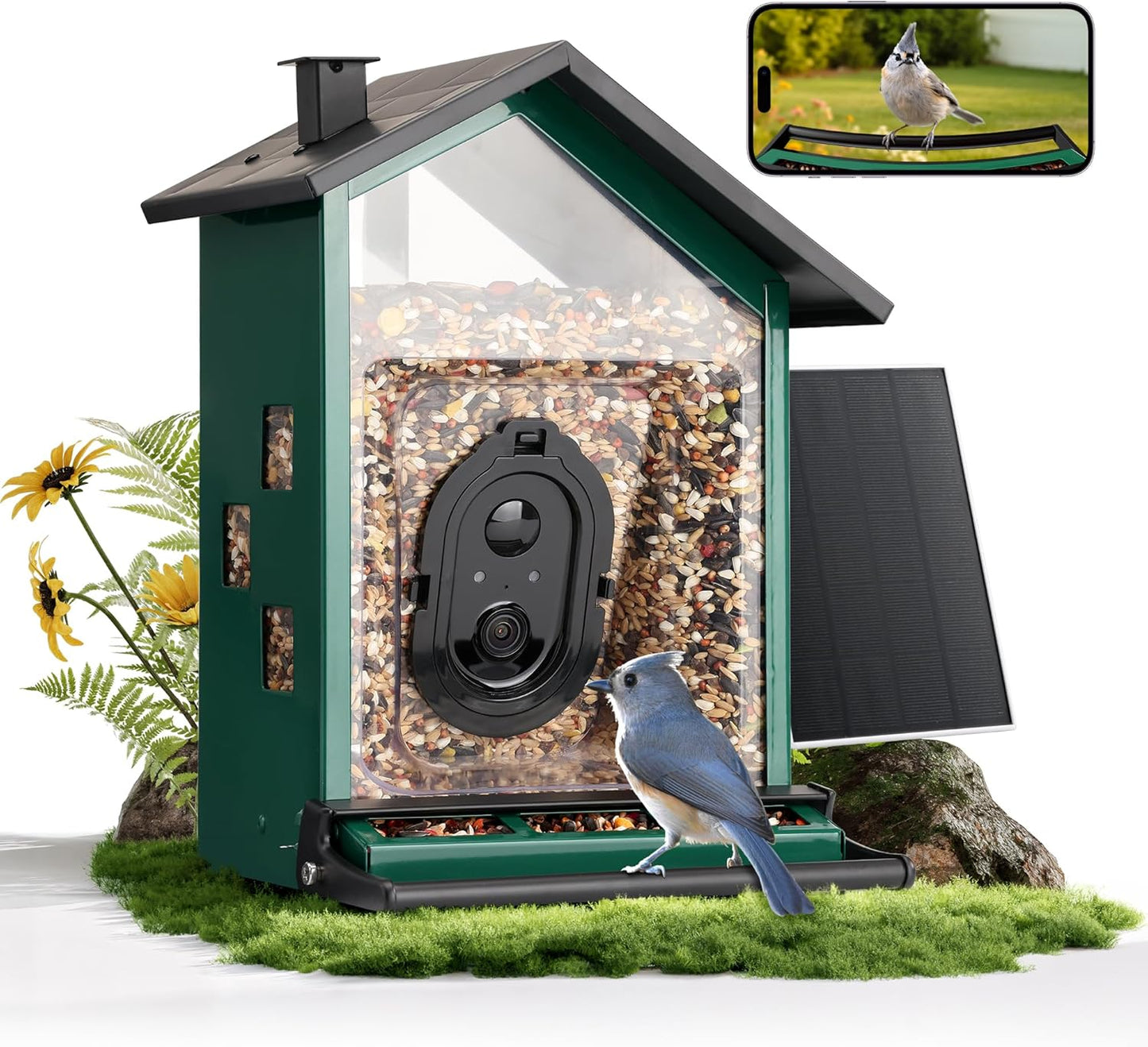 TT Nature Smart Bird Feeder - Solar Powered Camera with AI Bird Identification & Squirrel Proof Design | 3.2L Capacity, Green