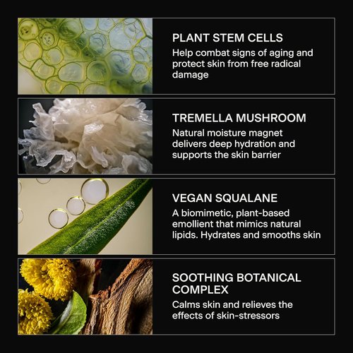 Caldera + Lab The Base Layer | Men's Organic Face Cream - Moisturizer for All Skin Types, Vegan & Antioxidant-Rich