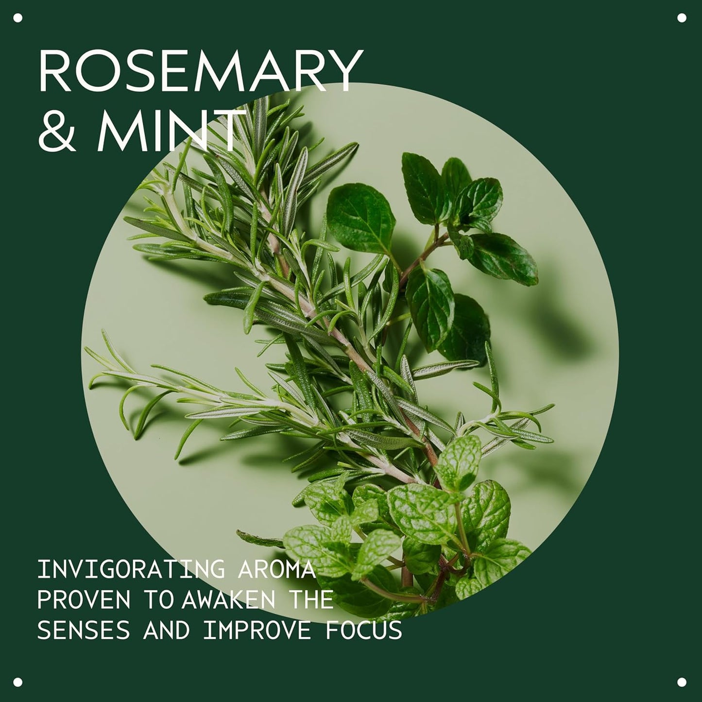 Aveda Rosemary Mint Candle - Invigorating Vegan Soy Wax with Organic Peppermint & Rosemary | 8 oz