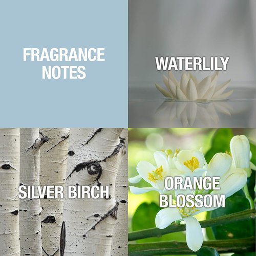 Alfred Sung SHI Eau De Parfum Spray - Elegant Women's Fragrance | 1.7 Fl Oz