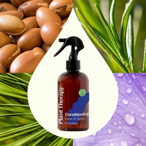 Plant Therapy Leave-In Conditioning Spray - Smooth, Soften & Detangle | 8 oz, Paraben-Free
