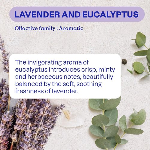 ATTITUDE Odor Eliminator - Plant-Based Air Purifier with Activated Carbon | Lavender & Eucalyptus, 8 Oz