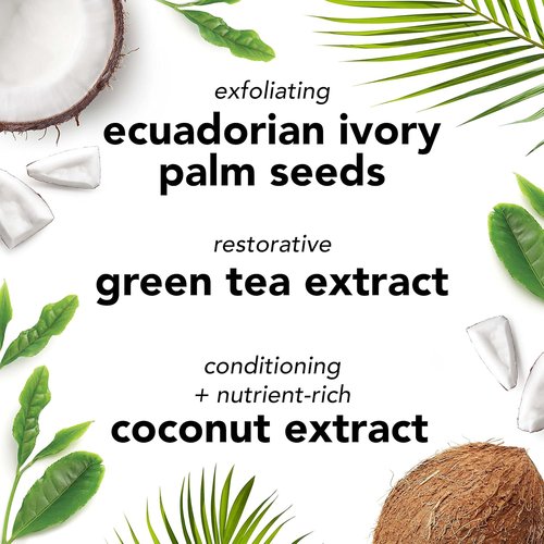 Mario Badescu Botanical Exfoliating Scrub - Gentle Face Wash with Ivory Palm Seeds & Green Tea Extract | 3.4 Fl Oz