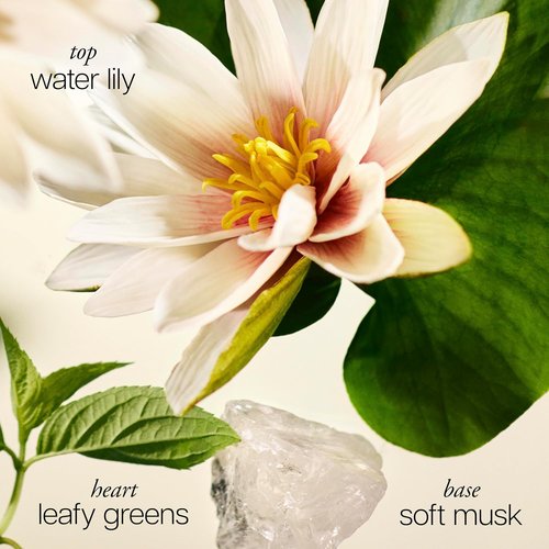Philosophy Pure Grace - Crisp & Clean Women's Perfume - Water Lily, Leafy Greens & Musk - Long-Lasting Fragrance
