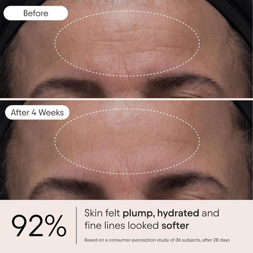 ALPYN Melt Moisturizer - Weightless Brightening & Plumping Hydration | Velvety, Makeup-Ready Finish | 1.7 oz / 50 ml