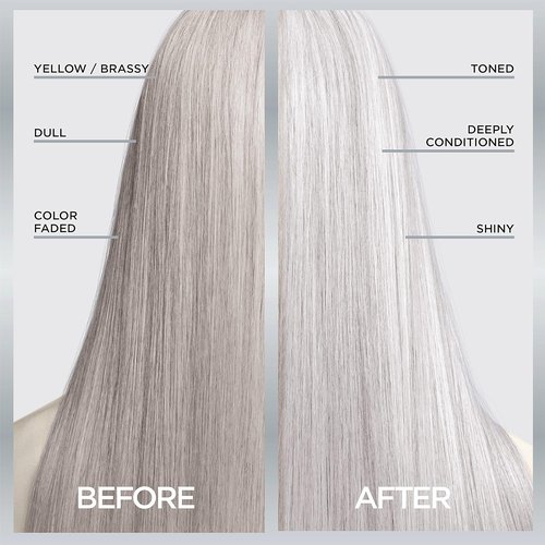 L’Oreal Paris Le Color Gloss - In-Shower Toning Gloss & Deep Conditioner for Gray Hair | Silver White, 1 Kit