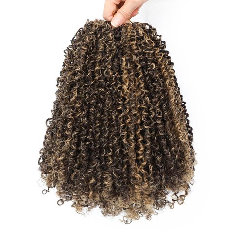 Aksice 10 Inch 8 Packs Yanky Twist Crochet Hair for Women Pre-looped Mini Twist Hair Bohemian Passion Twist Crochet Hair Boho Crochet Braids Synthetic (4H27)