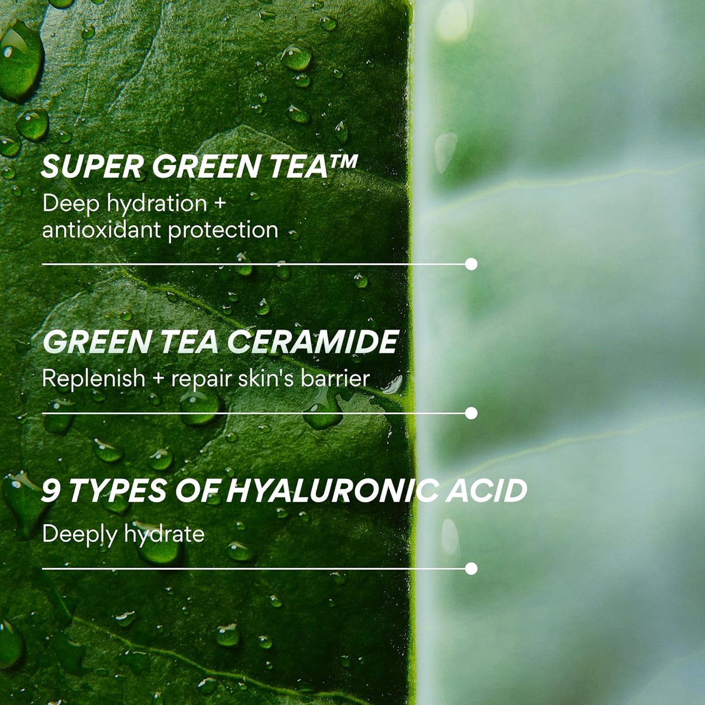 Innisfree Green Tea Ceramide Milk - Hydrating Milky Toner for All Skin Types | Gift Set Available