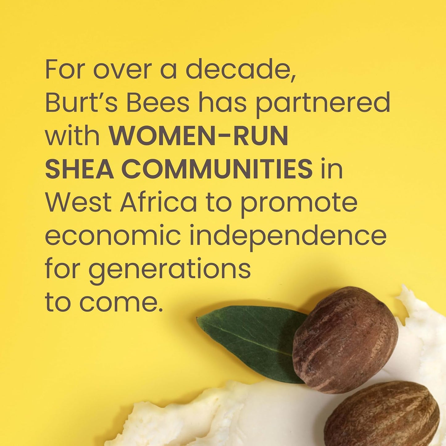 Burt's Bees Luminous Body Oil - Shea & Tropical Fruit Formula for Glowing Skin | 8 oz, Non-Greasy & Antioxidant-Rich
