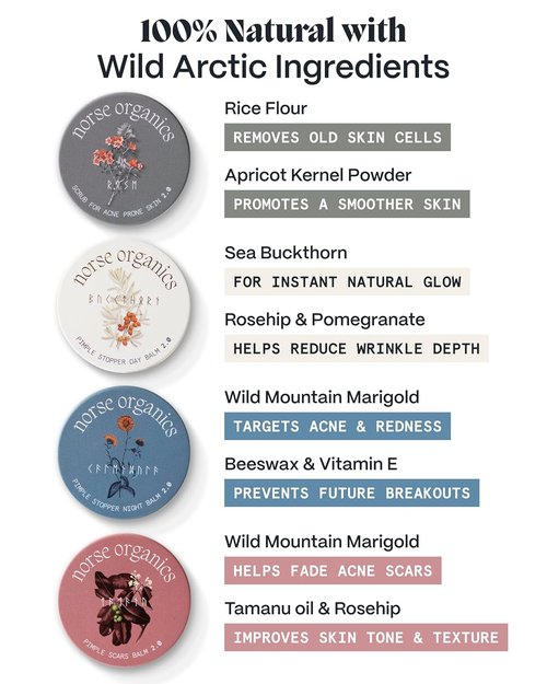 Norse Organics | Complete Pimple Control System 2.0 | 4-Step Skincare Kit with Arctic Herbs | Includes Day & Night Balms, Scar Balm, Face Scrub | All Skin Types (4 Pcs)