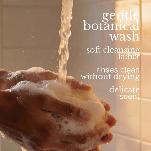 Red Flower Palo Santo Purifying Body Wash - Hydrating Botanical Shower Gel with Organic Extracts (10 oz)