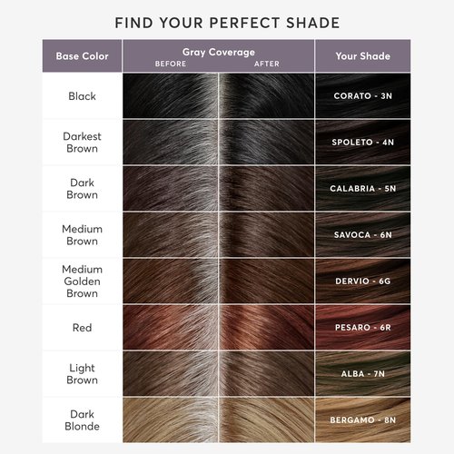 Madison Reed Root Perfection Root Touch Up Kit – 4N Spoleto Darkest Brown, 100% Gray Coverage in 10 Min, Ammonia-Free, 2 Applications