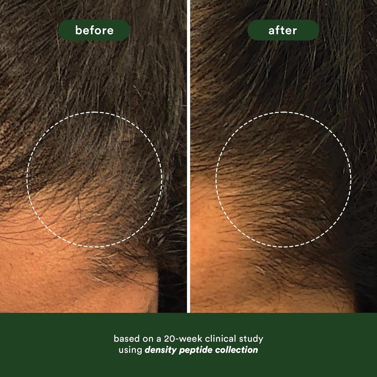 VERB Density Peptide Shampoo - Thicken Hair & Reduce Shedding - Moisturizes Fine, Weighed Down Hair