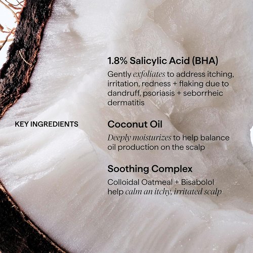 Briogeo Scalp Revival Dandruff Relief Conditioner - Charcoal & Salicylic Acid | Daily Anti-Dandruff Care | 8.4 fl oz