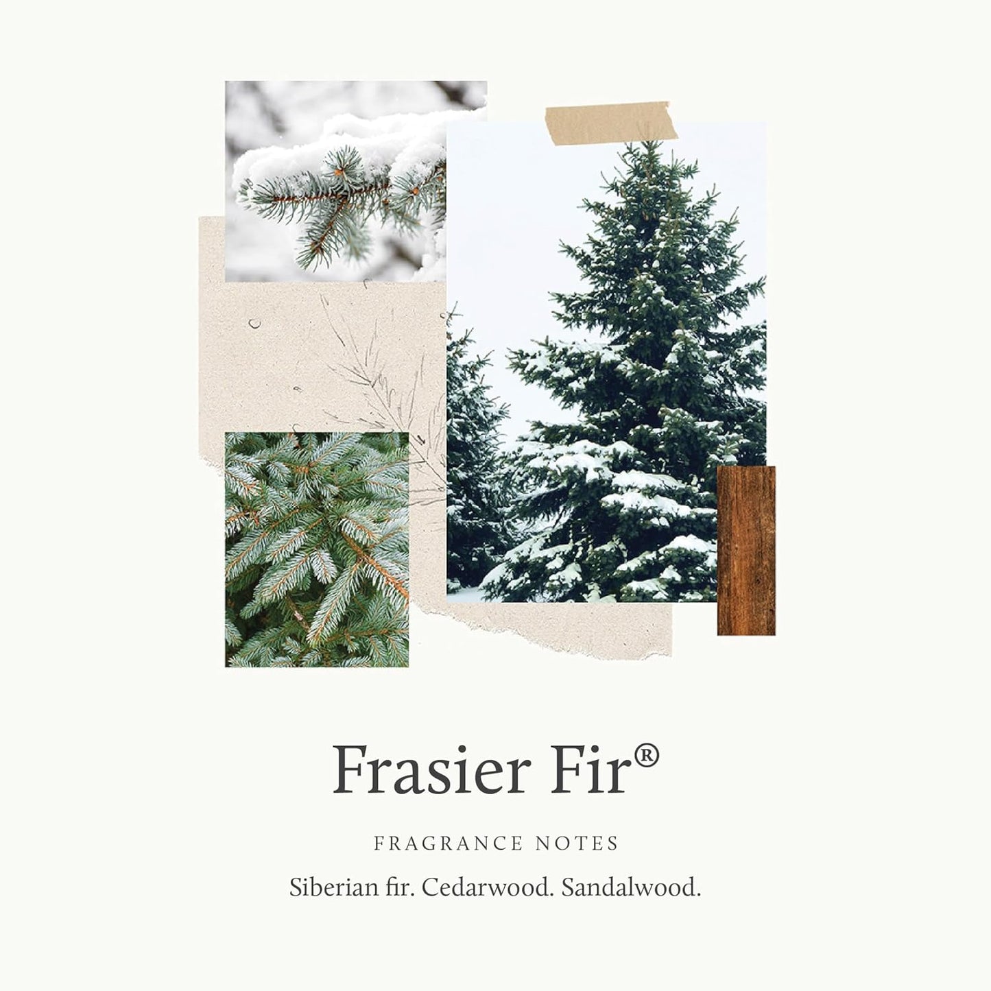Thymes Hand Wash - Frasier Fir Scent - 15 Fl Oz | Luxurious Moisturizing Formula