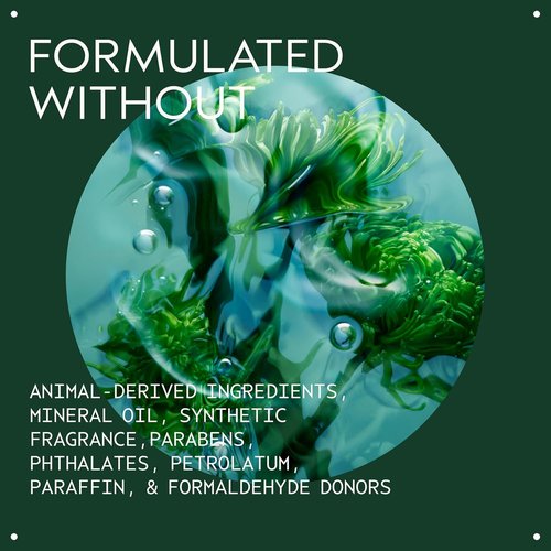 Aveda Men Pure-Formance Hair Gel - Maximum Hold & Shine | 93% Naturally Derived | 5 Fl Oz